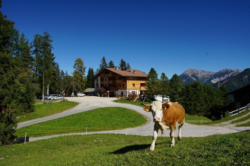 Chalet Frapes San Martino in Badia Luaran gambar