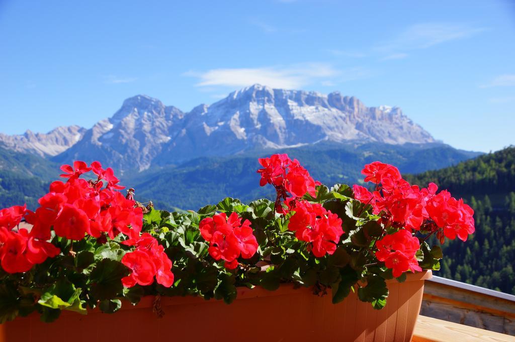 Chalet Frapes San Martino in Badia Luaran gambar